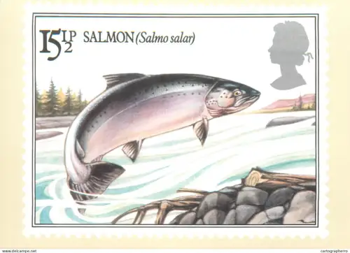 A5426 British stamp designed postcard Alex Jardin Fishes Salmon