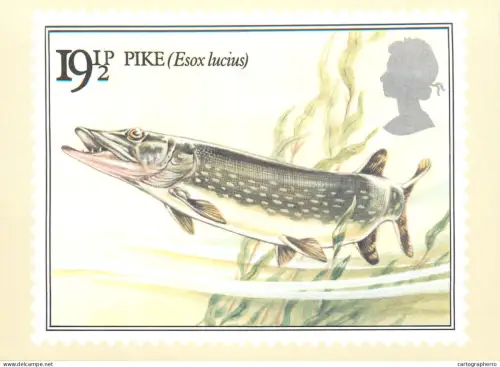 A5426 British stamp designed postcard Alex Jardin Fishes Pike