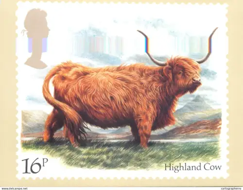 A5425 British stamp designed postcard Barry Driscoll Highland cow