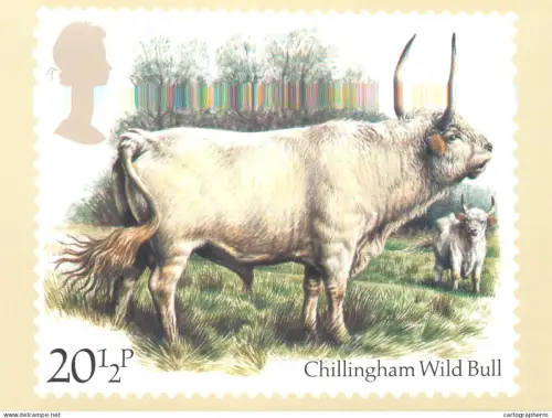 A5425 British stamp designed postcard Barry Driscoll Chillingham wild bull