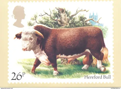 A5425 British stamp designed postcard Barry Driscoll Hareford bull