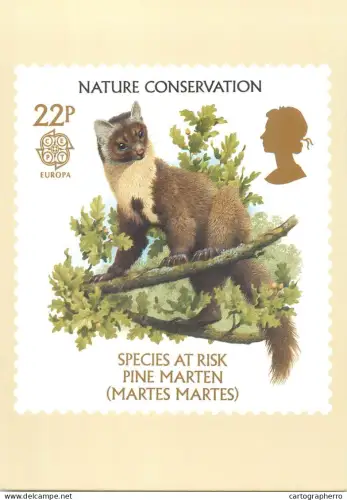 A5425 British stamp designed postcard Ken Lilly Pine marten