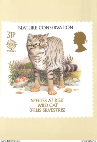 A5425 British stamp designed postcard Ken Lilly Wild cat
