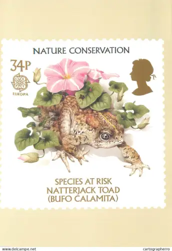 A5425 British stamp designed postcard Ken Lilly Naterkack toad