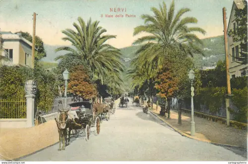 A5838 Italy Nervi il viale delle Palme picturesque scenery countryside area