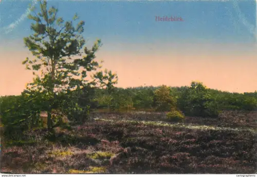 A5838 Germany Heideblick flower field picturesque scenery
