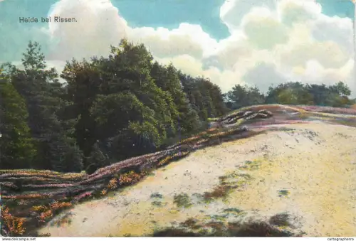 A5838 Germany Heide bei Rissen