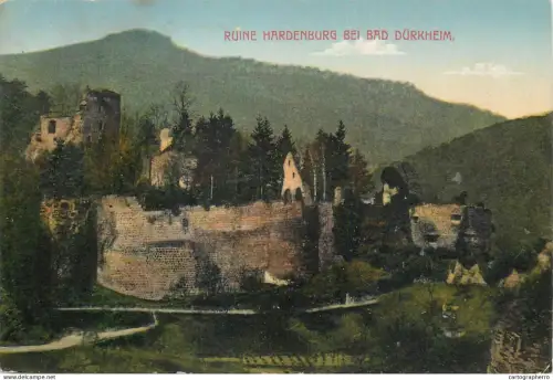A5838 Germany Burg Hardenburg bei Bad Durkheim