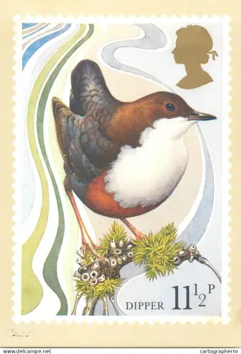 A5424 British stamp designed postcard Michael Warren Dipper