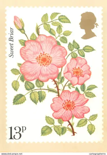A5424 British stamp designed postcard Kristin Rosenberg Sweet Briar