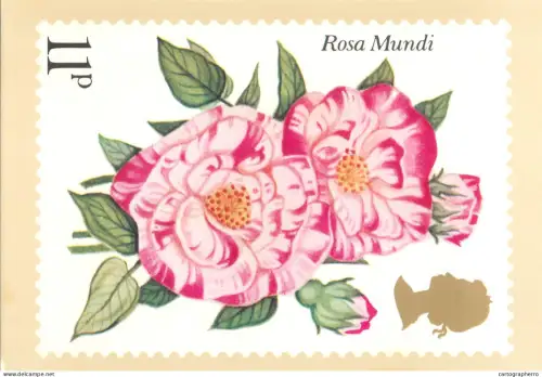 A5424 British stamp designed postcard Kristin Rosenberg Rosa Mundi