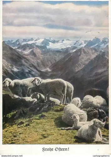 A6213 Frohe Ostern Alpine scenic postcard with sheep