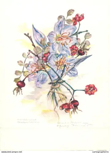 A6213 Botanical illustration artist postcard wildflowers