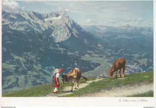 A6213 Traditional pastoral scene from a mountain area Austrian Alps