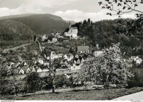 A6212 Hirschhorn