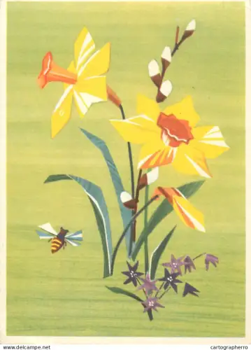 A6211 Drawn Daffodils (Narcissus) & bee postcard 1963