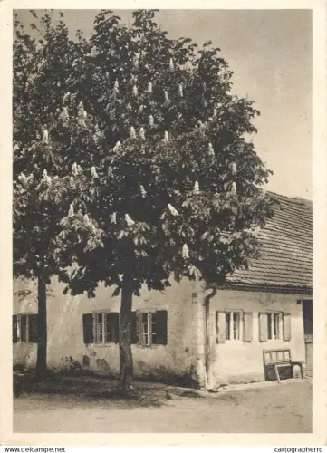 A6216 Germany Postcard - Unser Schones Deutschland