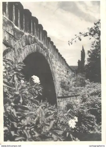 A6216  Czech Republic Postcard - Decin (Tetschen): Staromestsky most / Polzenbrucke Bridge
