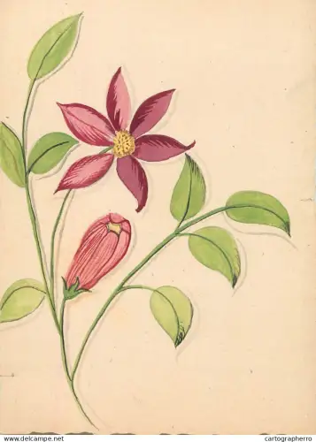 A6215 Vintage Graphic Illustration - Purple Clematis Blossom with Green Leaves Folk Art signed R.M.S.
