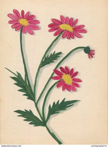 A6215 Vintage Graphic Illustration -  Pink & Yellow Daisies with Green Leaves signed R.M.S.