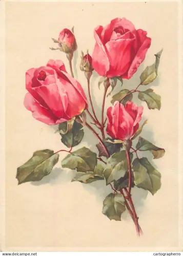 A6215 Vintage Botanical Postcard - Beautiful Pink Red Roses Bouquet with Buds Art