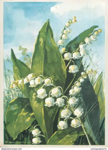A6215 Muguets CPA
