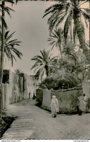 A5889 Algeria Biskra (Constantine) vieux Biskra