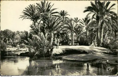 A5889 Tunisia Gabes Oasis de Teboulbou