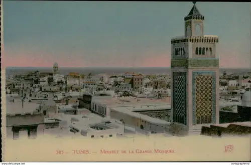 A5889 Tunisia Tunis vue panoramique avec Minaret de la Grande Mosque
