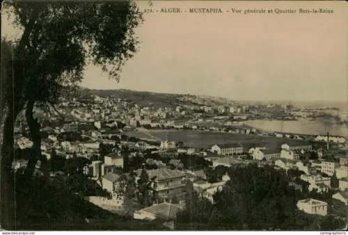 A5889 Algeria Alger Mustapha vue generale et Bois de la Reine
