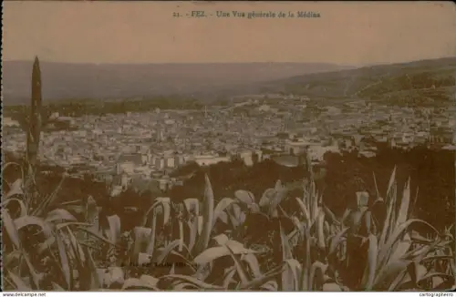 A5889 Morocco Fez vue generale de la Medina