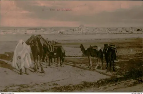 A5889 Tunisia ethnic types and scenes
