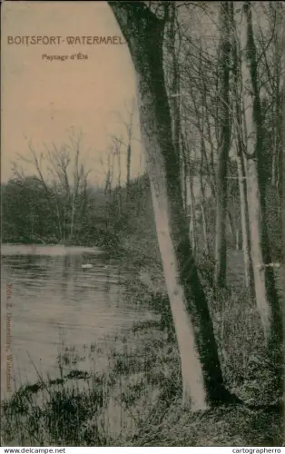 A5888 Belgium Watermael-Boitsfort paysage d'ete