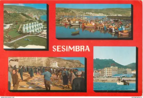 A5661 Portugal Sesimbra port and beach