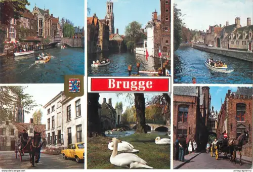 A5587 Belgium Brugge The canal swans