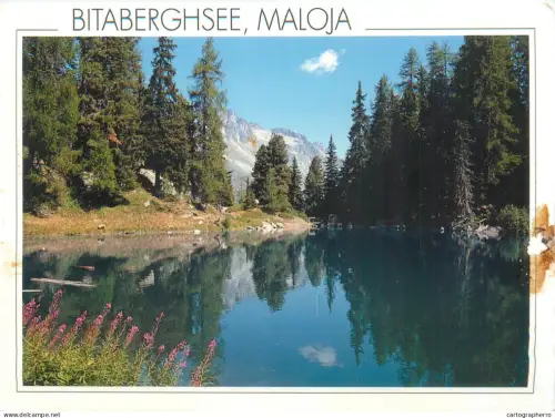 A5586 Schweiz Maloja Lake Bitabergh