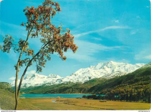 A5586 Schweiz Maloja View to Lake Maloja