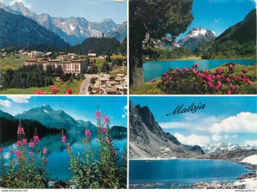 A5586 Schweiz Maloja Engadine in spring