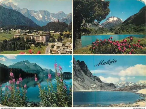 A5586 Schweiz Maloja Engadine in spring