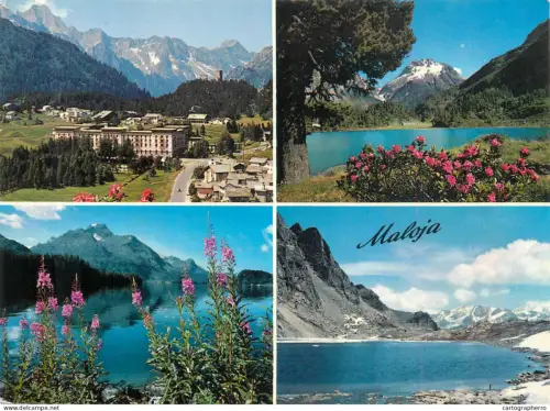 A5586 Schweiz Maloja Engadine at spring
