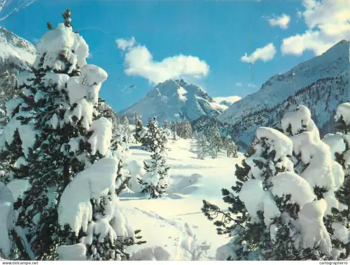 A5586 Schweiz Maloja Pizzo dei Rossi winter