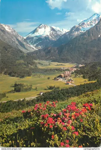 A5586 Schweiz Maloja View of the Forno Area