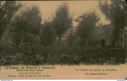 A5887 Belgium Le Chateau de Bethanie a Anderlecht
