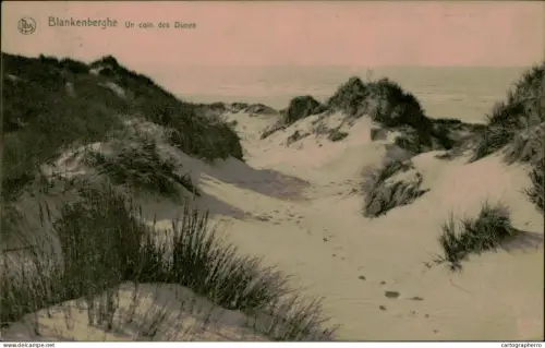 A5887 Belgium Blankenberge un coin des dunes