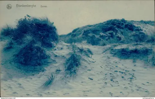 A5887 Belgium Blankenberge - les dunes