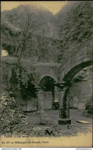 A5898 Belgium Gent Les ruines de l'abbaye de St. Bavon - Le Cellier