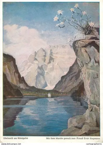 A6218 Edelweiß am Königssee - Artiste Arnulf Erich Stegmann - Peint avec la bouche / Mit dem Munde gemalt