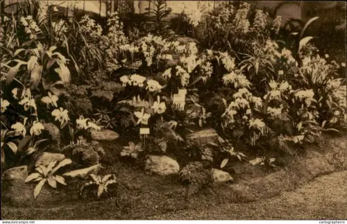A5928 Belgique Gent Floralies 1938