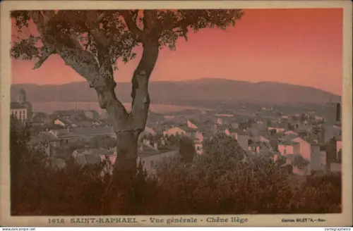 A5904 France Saint Raphael General view – Cork oak