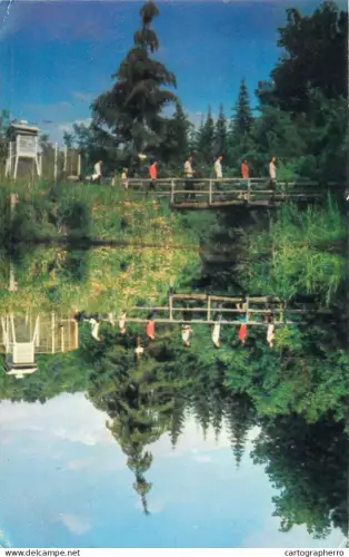 A5791 Romania Sovata pod peste Lacul Ursu